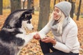 Dog husky gives a beautiful woman the paw Royalty Free Stock Photo