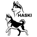 Dog Husky logo. Vector illustration.