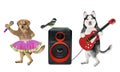 Dog husky plays guitar near loudspeaker 4