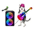 Dog husky plays guitar near loudspeaker 2