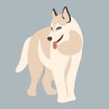 Dog husky vector illustration style flat Royalty Free Stock Photo