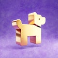 Dog icon. Gold glossy Dog symbol isolated on violet velvet background.