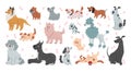 Dog icon. Line funny pets different breed. Pattern or poster, set sketch doodle style animals, cute cartoon print Royalty Free Stock Photo