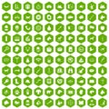 100 dog icons hexagon green Royalty Free Stock Photo