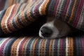 Dog ill or sleeping Royalty Free Stock Photo