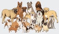 Dog illustration collection. Royalty Free Stock Photo
