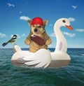 Dog on inflatable swan in sea