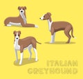 Dog Italian Greyhound Cartoon Vector Illustration Royalty Free Stock Photo