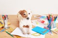 Dog Jack Russell Terrier and chool supplies background. Back to school concept. Items for school. Office desk with copy space.