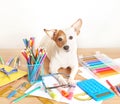 Dog Jack Russell Terrier and chool supplies background. Back to school concept. Items for school. Office desk with copy space.