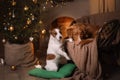 Dog Jack Russell Terrier and Dog Nova Scotia Duck Tolling Retriever . Happy New Year, Christmas, pet in the room the Christmas Royalty Free Stock Photo