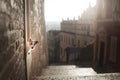 The dog Jack Russell Terrier looks out. Obedient pet in the city.