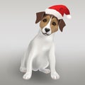 Dog Jack Russell Terrier in the red hat of Santa Claus