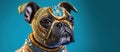 dog in jewelry on a colored background Generative AI Royalty Free Stock Photo