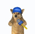 Dog journalist with microphone Royalty Free Stock Photo