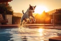 Dog jump in pool. Generate Ai Royalty Free Stock Photo