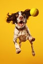 Dog jumping in the air with tennis ball in its mouth on yellow background. Generative AI Royalty Free Stock Photo