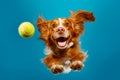 Dog jumping in the air to catch tennis ball with its paws. Generative AI Royalty Free Stock Photo