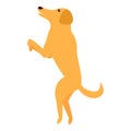 Dog jumping icon, cartoon style