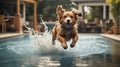 A dog jumping over a pool of water. Royalty Free Stock Photo