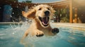 a dog jumping into a swimming pool with its mouth open. generative ai Royalty Free Stock Photo