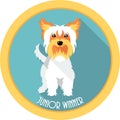 Dog Junior winner medal icon flat design