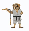 Dog karate athlete with nunchuck 2 Royalty Free Stock Photo