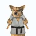 Dog karate fighter with nunchuck 2 Royalty Free Stock Photo