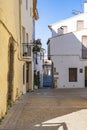 A dog keeps watch on a balcony of a house on Calle Carcel in Requena, Spain Royalty Free Stock Photo