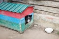 A dog in a kennel outside. Royalty Free Stock Photo