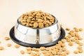 Dog Kibbles in a bowl on wooden floor Royalty Free Stock Photo