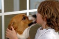 Dog kisses Royalty Free Stock Photo