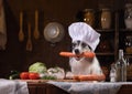 Dog in the kitchen with vegetables. Nutrition for animals, natural food. Border Collie in a Cooking Hat Royalty Free Stock Photo