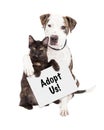 Dog and Kitten Adopt Us Sign