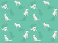 Dog Kuvasz Cartoon Poses Seamless Wallpaper Background