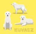 Dog Kuvasz Cartoon Vector Illustration