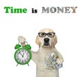 Dog labrador with alarm clock and dollars