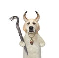 Dog labrador horned holds snake knife Royalty Free Stock Photo