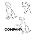 Dog Labrador logo. Vector illustration.