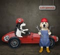 Dog labrador mechanic fixing red sports car Royalty Free Stock Photo