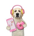 Dog labrador in pink donut earphones holds phone