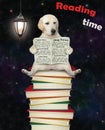 Dog labrador sits on pile of books and reads 2 Royalty Free Stock Photo