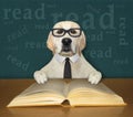 Dog labrador smart reads book at desk 3