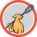 Dog Lacrosse Player Crosse Stick Cartoon Circle Royalty Free Stock Photo