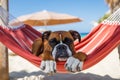 Dog Laid-Back Boxer: Unwinding on Vacation on the beach. Generative AI Royalty Free Stock Photo