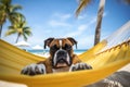 Dog Laid-Back Boxer: Unwinding on Vacation on the beach. Generative AI Royalty Free Stock Photo