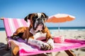 Dog Laid-Back Boxer: Unwinding on Vacation on the beach. Generative AI Royalty Free Stock Photo