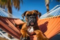 Dog Laid-Back Boxer: Unwinding on Vacation on the beach. Generative AI Royalty Free Stock Photo