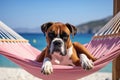 Dog Laid-Back Boxer: Unwinding on Vacation on the beach. Generative AI Royalty Free Stock Photo