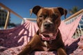 Dog Laid-Back Boxer: Unwinding on Vacation on the beach. Generative AI Royalty Free Stock Photo